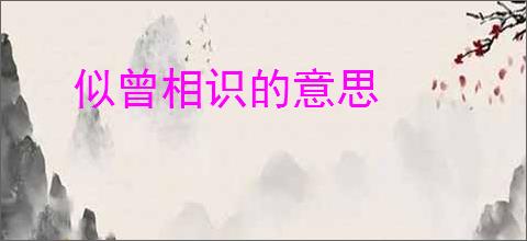 似曾相识的意思