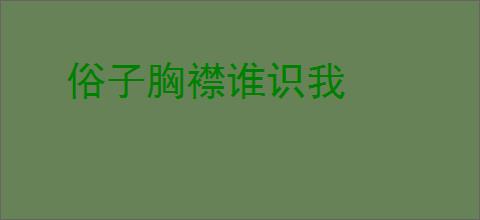 俗子胸襟谁识我