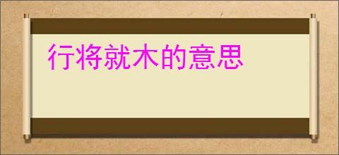 行将就木的意思