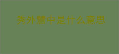 秀外慧中是什么意思