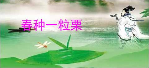 春种一粒栗