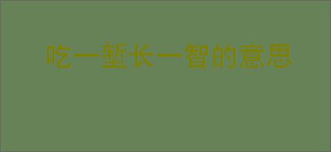 吃一堑长一智的意思