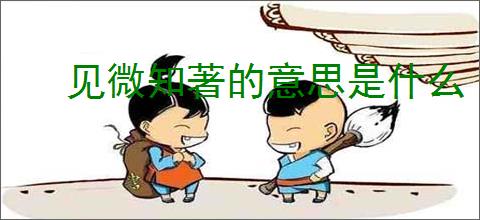 见微知著的意思是什么