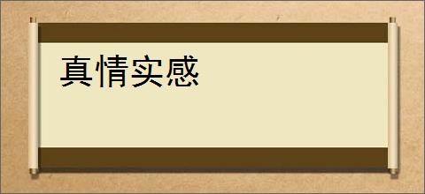 真情实感