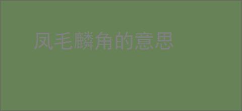 凤毛麟角的意思