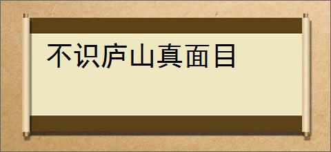 不识庐山真面目