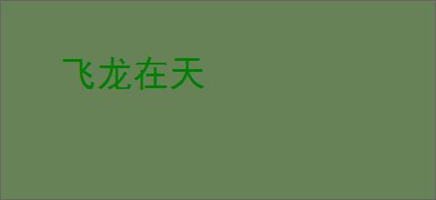 飞龙在天